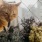 cat next to flowers